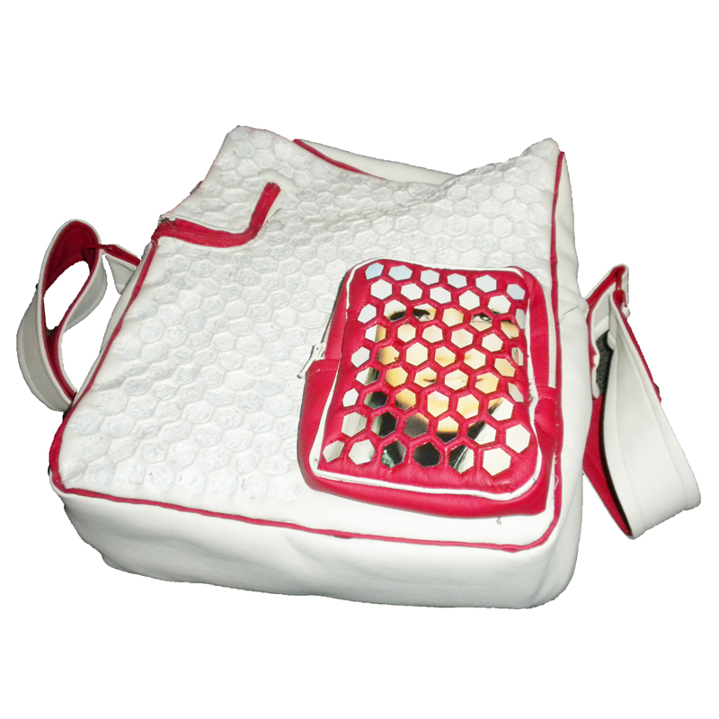 Schoolbag 2012